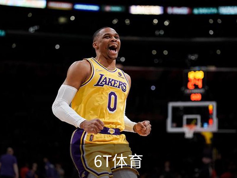 6T体育介绍